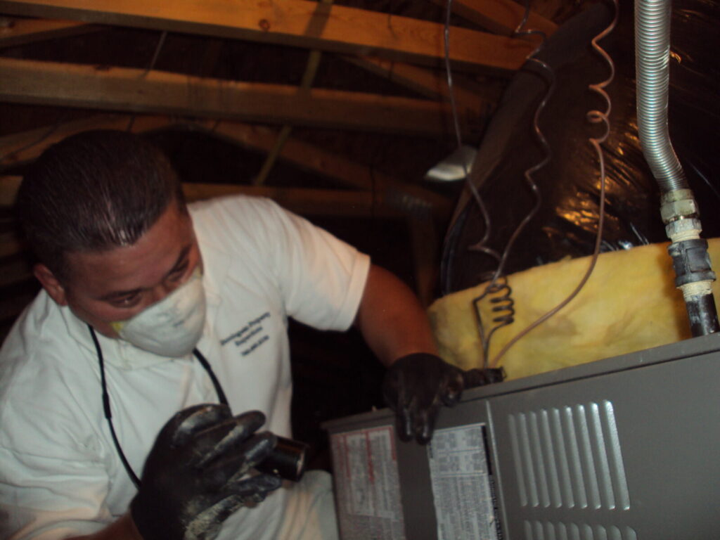 Inspecting Attic