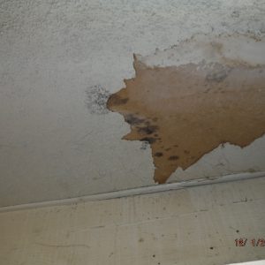 Interior Home Inspections